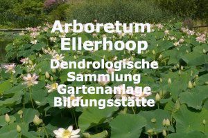 Arboretum Ellerhoop